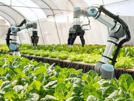 俄羅斯約30%農(nóng)業(yè)機(jī)械依賴進(jìn)口