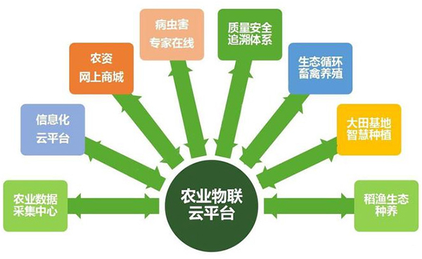 插圖-圖片22.jpg