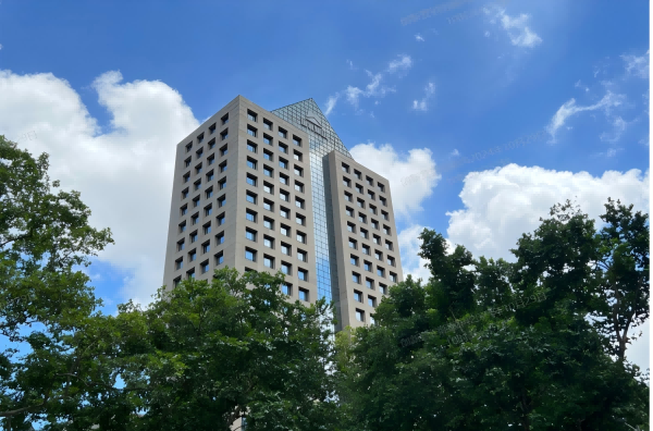 蘇美達技術公司召開海外客戶資源與業(yè)務拓展專題會